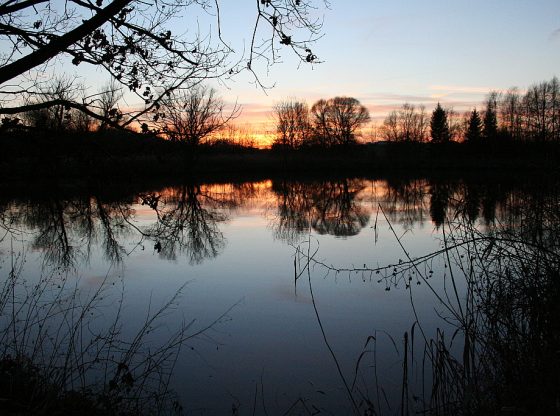 Lítožnický rybník Dubeč