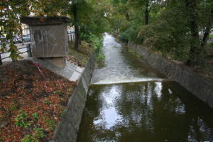 Botič